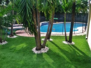Artificial Grass Installation Company, Tree Well Surfacing Contractor Paradise NV