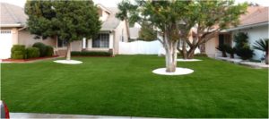 Artificial Grass Maintenance Contractor, Synthetic Lawn Cleaning and Maintenance Paradise NV