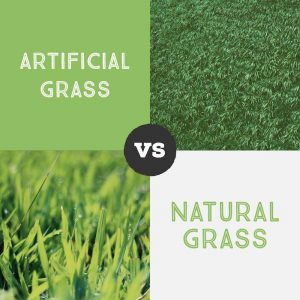 Artificial Grass vs Natural Grass, Artificial Turf Advantages Paradise NV