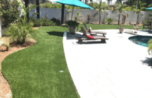 Artificial Grass Is Common In Paradise NV