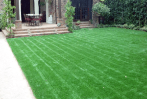 Artificial Grass Indoor Use Paradise Nv